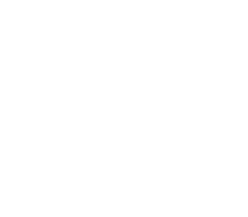 logo-rnault-01blanc